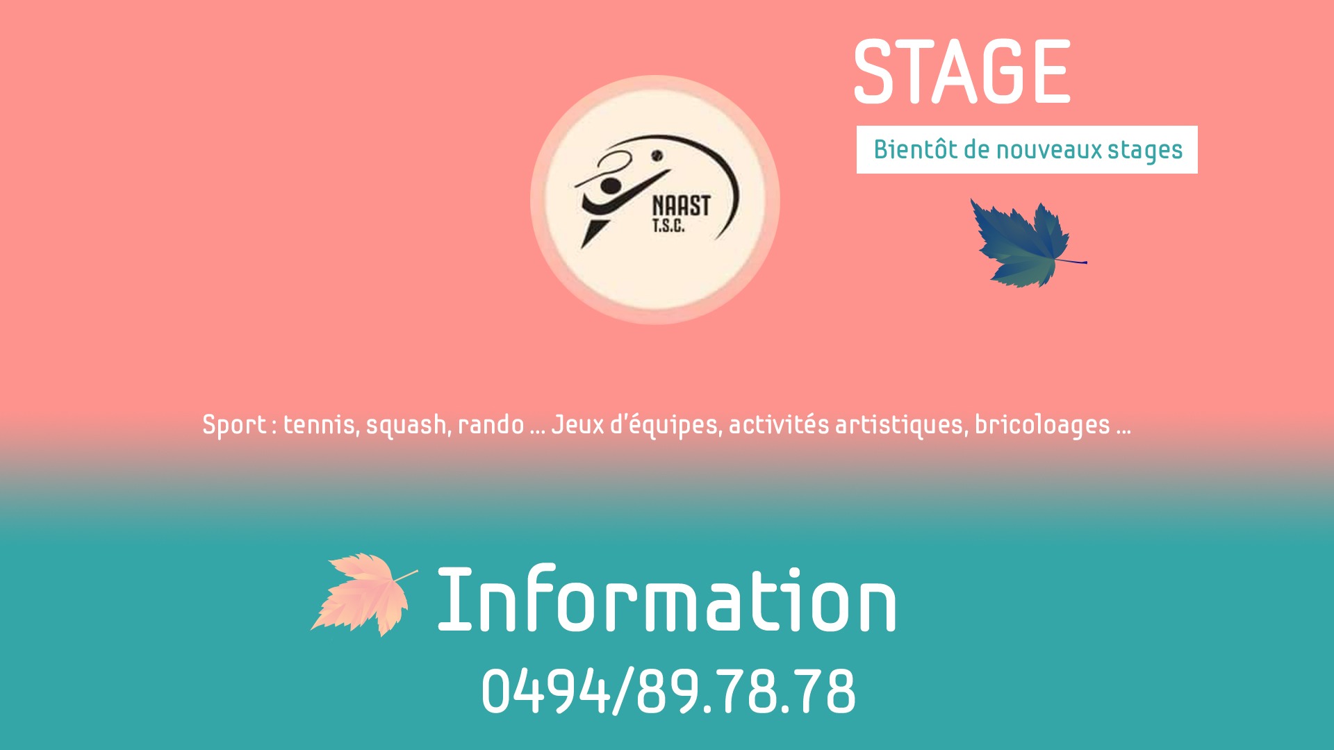 stage-automne-naastsc
